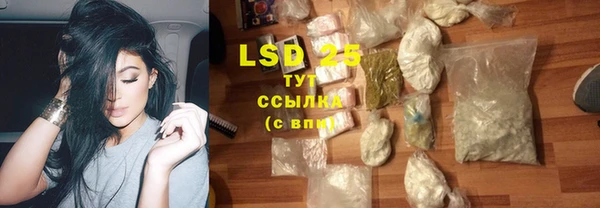 альфа пвп Гусев