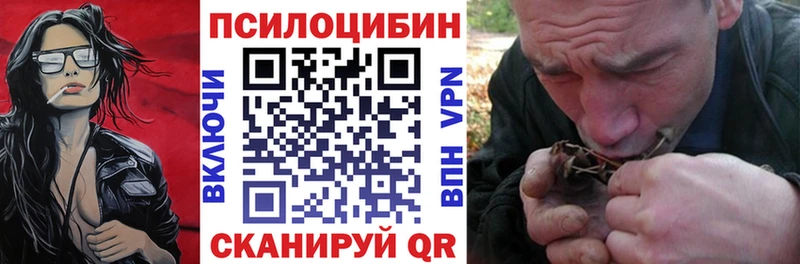 Купить где  Новодвинск  Псилоцибиновые грибы Psilocybine cubensis 