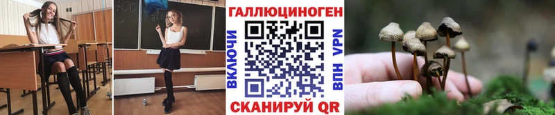 Псилоцибиновые грибы MAGIC MUSHROOMS Новодвинск