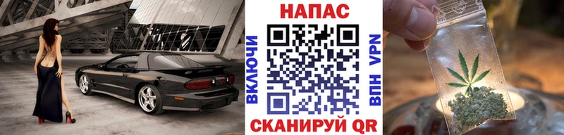 Купить закладки  Новодвинск  Канабис конопля 